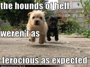 hounds of hell